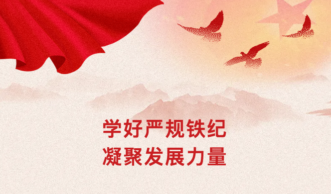 学好严规铁纪 凝聚发展力量—顺美党总支开展党纪学习教育